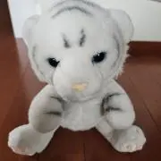 たいがの画像