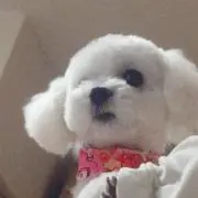 くっちの画像