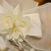 MOI☆の画像