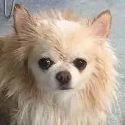 ウッチーの画像