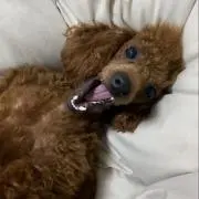 空手ボウラー