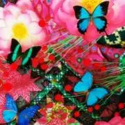 ミロミロの画像
