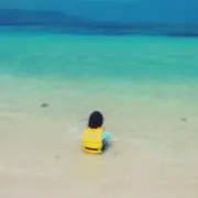 ☆ヴぇル☆の画像