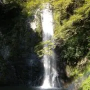 takiの画像