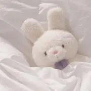 Kotoの画像