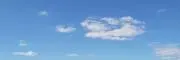 ぴっぴの画像