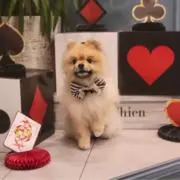 ユキ