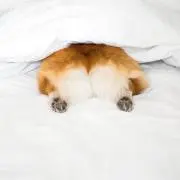 まり