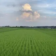 Image of ユウ