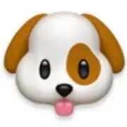 といぷーどるの画像