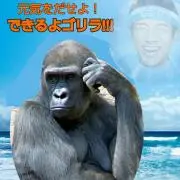 ゴリラ紳士