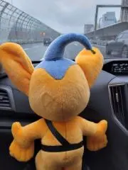 まぅの画像