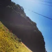 knの画像