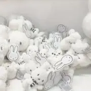 鮭大根