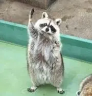 なー★フレンダまとめ割歓迎の画像