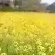 値下げ交渉×プロフ必読の画像