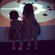 しましまの画像