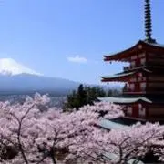 ま〜の画像