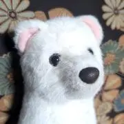 オコジョの画像