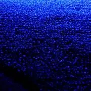 そに