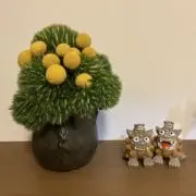 pepepenの画像