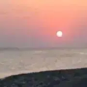 タコノコ＊プロフ確認お願い＊