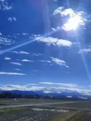 ゆずの画像