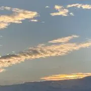 aromaの画像