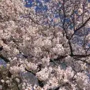 みーな