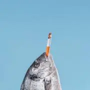 エンドウ
