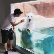 キャプテン　プロフ必読の画像