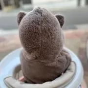 なあにゃの画像