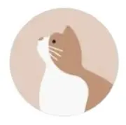 たまの画像