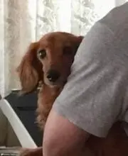 Takuyaの画像