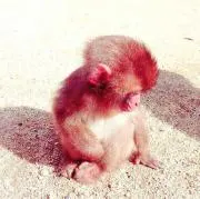 あき