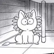 断捨離中の画像