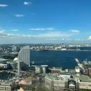 けんちゃんの画像