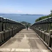さめじまの画像