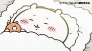 まえじ～の:購入後の取消はご遠慮くださいの画像