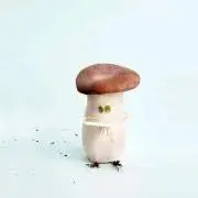 Bbbb