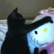 ♫の画像