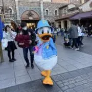 こにゃの画像