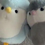 あおくまちゃんの画像