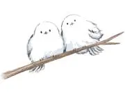 ふるはうすの画像