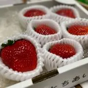 ありえるの画像