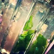 Mowの画像