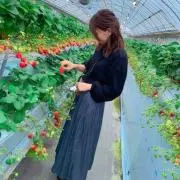 こえの画像