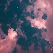 Lの画像