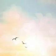 ChilChilの画像