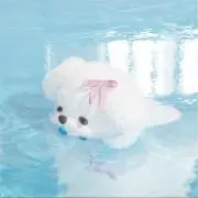 Roiz_iilの画像